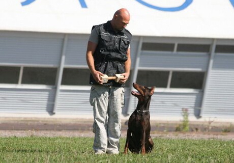 Estonian championship 2007 in IPO 3